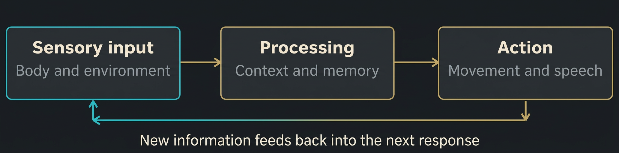 Figure 4 Perception and action form a feedback loop. Bodily needs influence the loop, and the results of action supply new information.